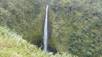 Video: Akaka Falls